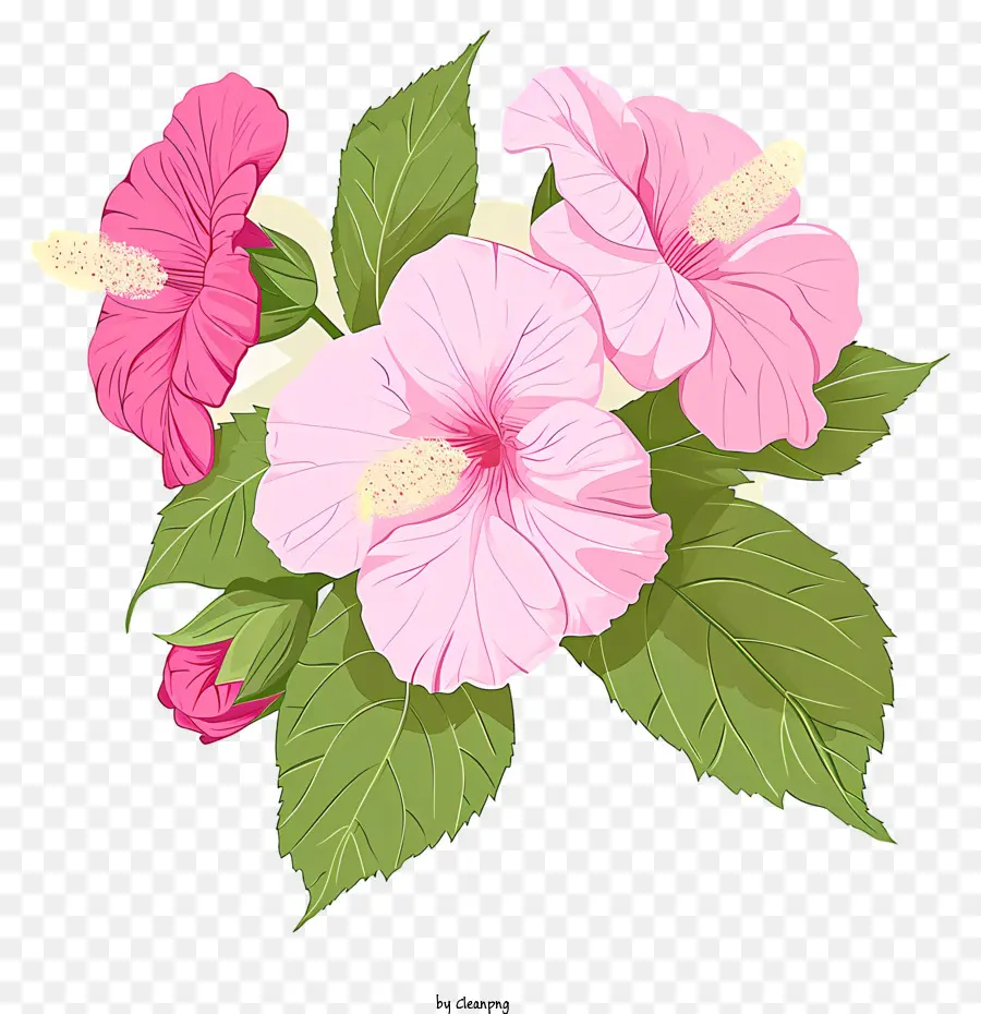 Vettore piatto minimizzato illustra rosa di hibisco di hibisco di hibisco di hibisco rosa di hibisco rosa hibisco - Fiore di ibisco rosa in fiore con foglie verdi