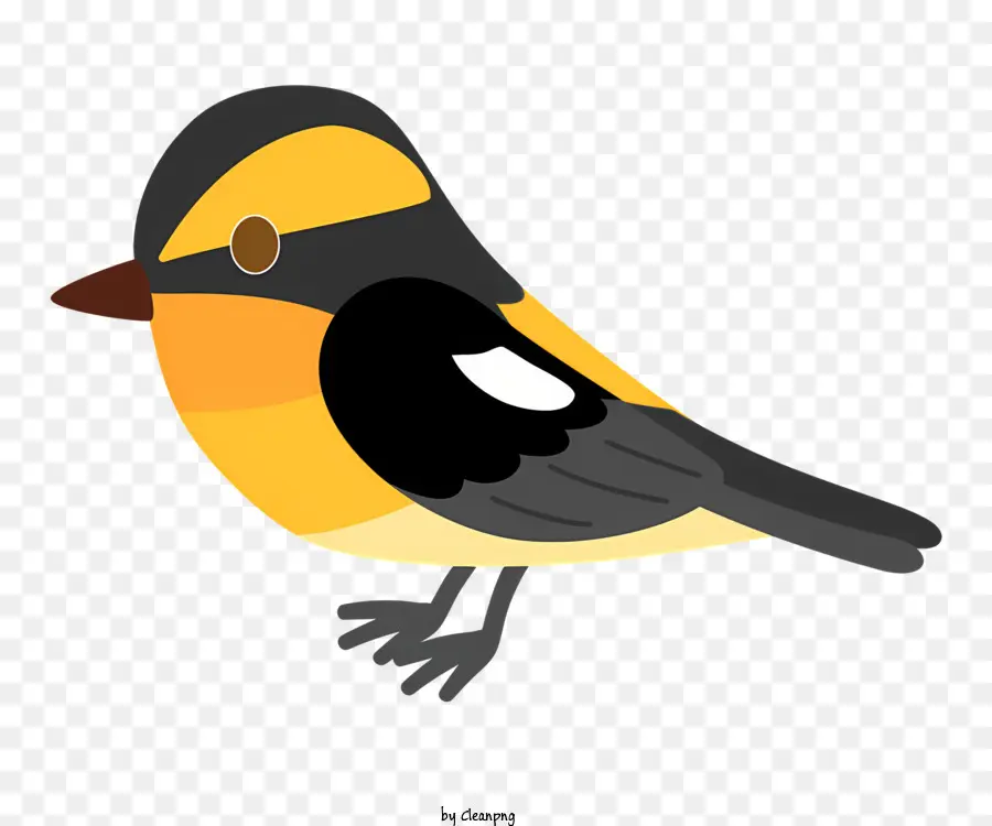 icona uccello piccolo uccello nero becco nero e piume gialle appollaiate - Uccello piccolo con becco nero e piume