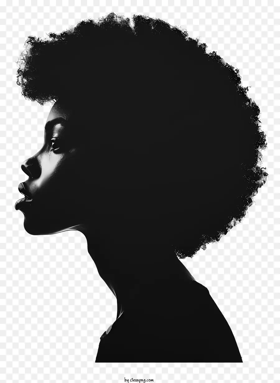 Schwarzem History Month Afro Frisur Schwarz -Weiß -Foto Frauengesicht ernsthafter Ausdruck - Ernsthafte Frau mit Afro -Frisur in Schwarz und Weiß