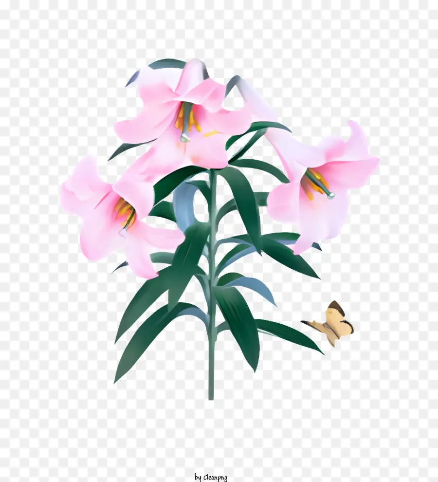 flower plant pink flowers green leaves butterfly