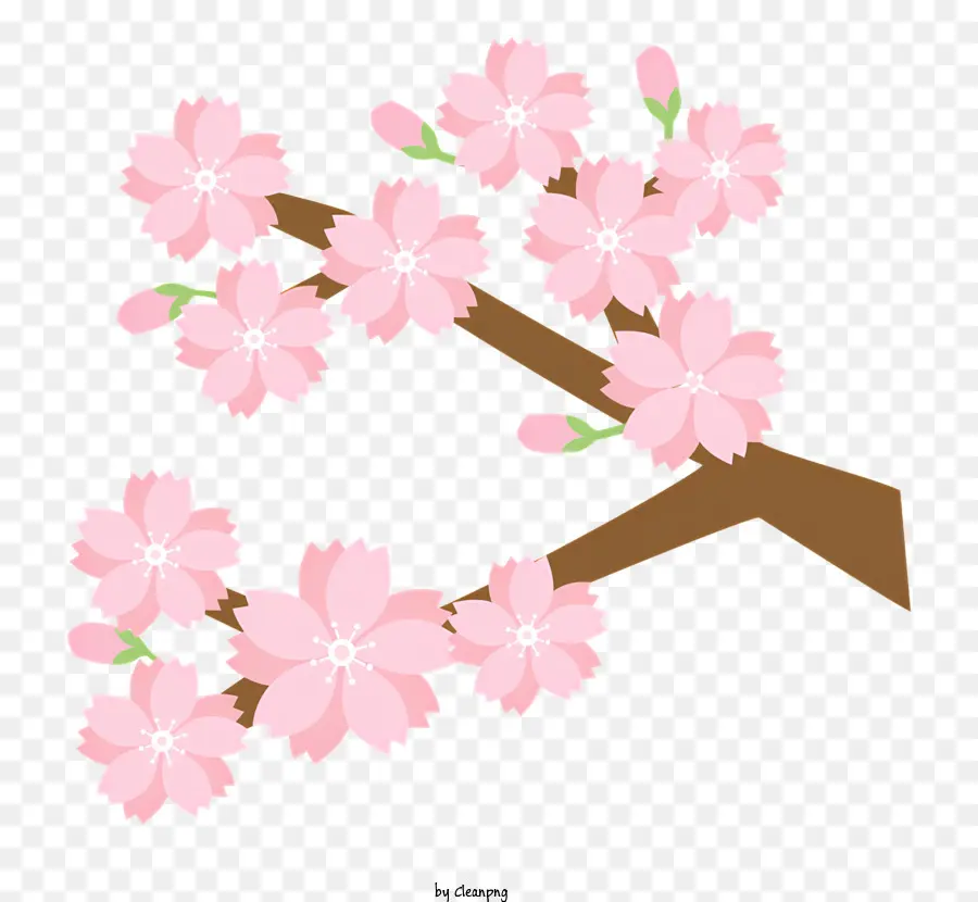 cây anh đào - Cây anh đào nở hoa với cành hoa màu hồng