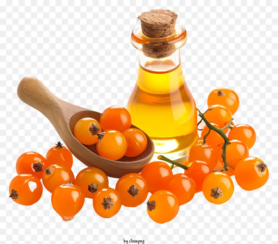 Sea-Buckthornöl Glasflasche Öl schwarzer Hintergrund Orange Beeren - Klares, fokusses Bild von Öl und Beeren
