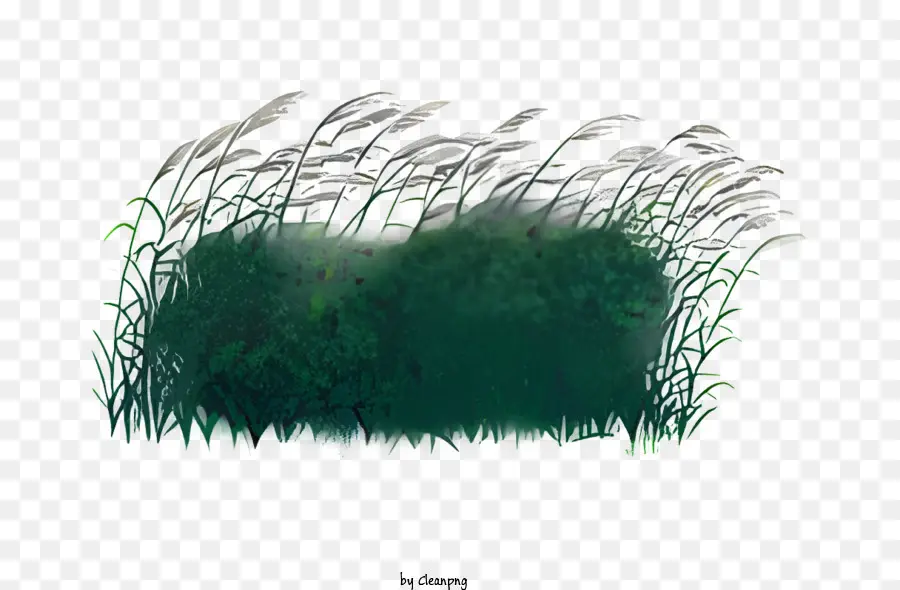 icon Green Field Tall Grass da vicino senza alberi - Campo verde con erba alta, senza alberi