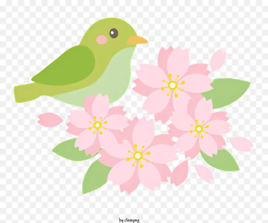 molla verde uccello grigio fiore di ciliegia rosa e bianco - Uccello verde sul bouquet di fiore di ciliegio, bianco e nero