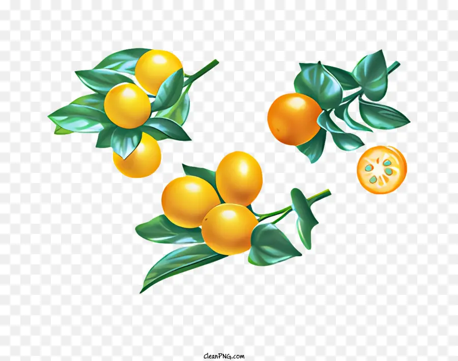 fruit oranges ripe oranges branch green leaves