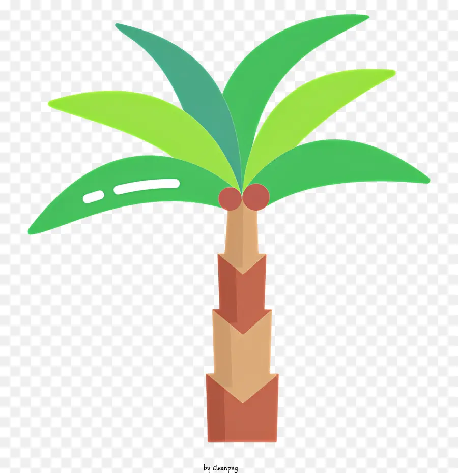 albero di palma - Palma tropicale raffigurata con gambo e foglie