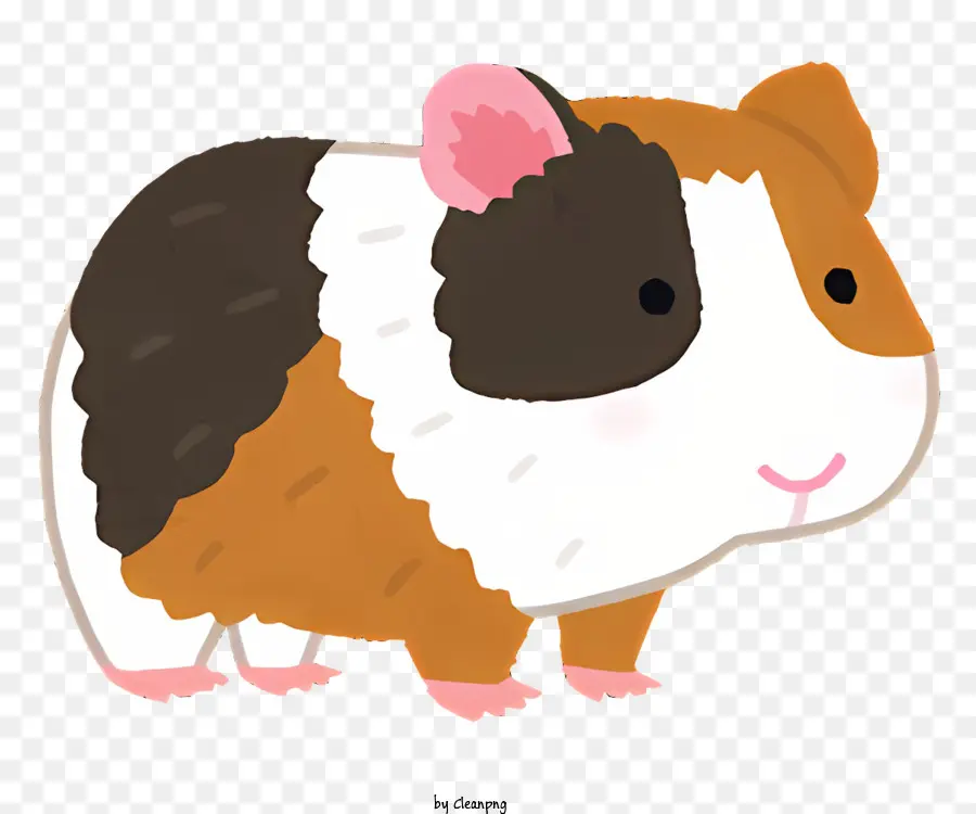 marmot guinea pig cartoon image brown and white long body