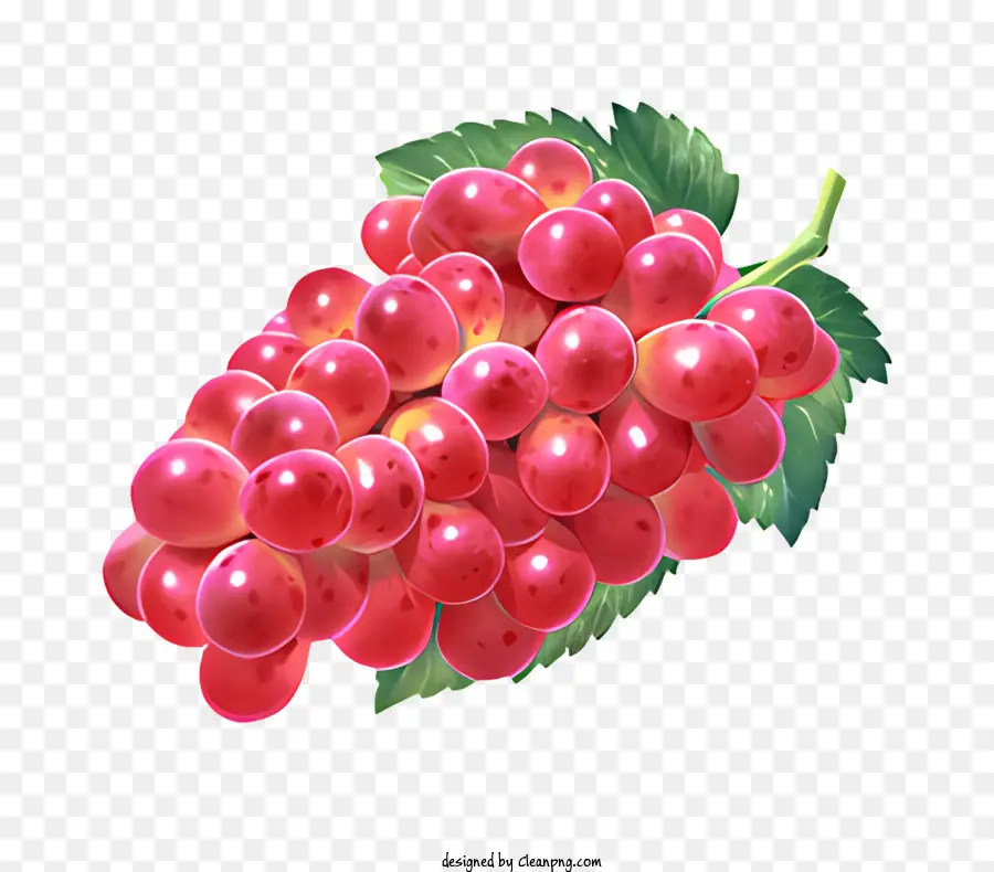 uva rossa di frutta mazzo di uva a foglia verde uva matura - Uve rosse disposte in mazzo con foglie