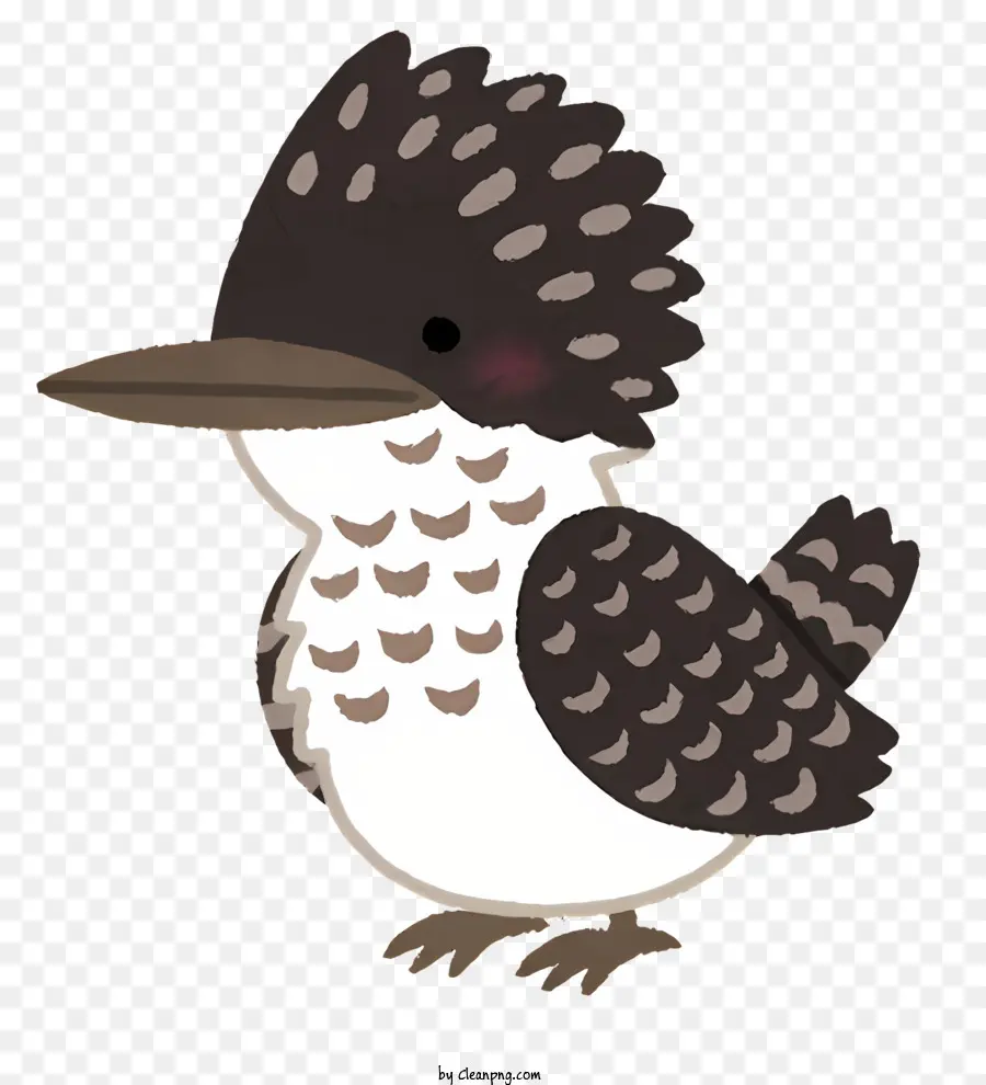 Vogel kleiner Vogel schwarz und weißer Vogel braun und weiße Federn großer Schnabel - Vogel mit kleinem Schwarz -Weiß -Körper