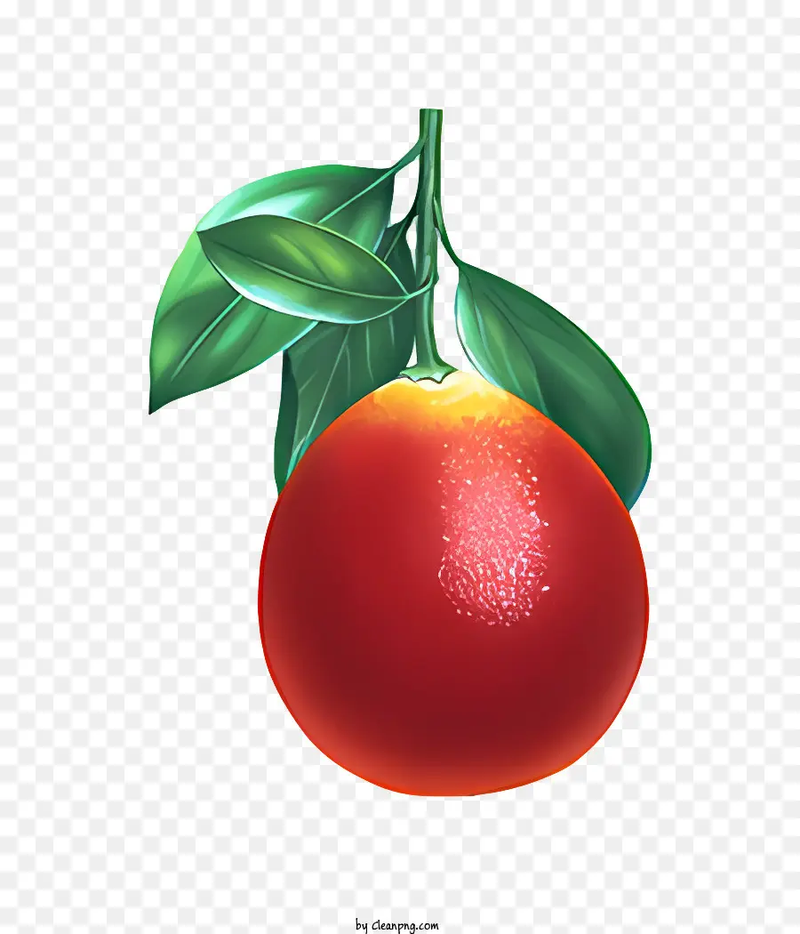 Obst Nahaufnahme Orange Perfekte Orangenfrucht mit grünen Blättern lebhafte Farbfrüchte - Nahaufnahme künstlicher Orange mit unrealistischen Details