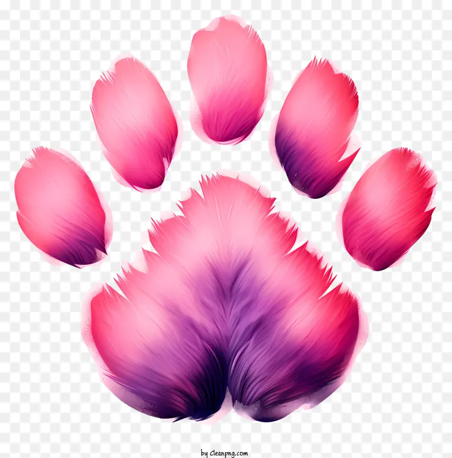 in paw - Bản in chân hồng và tím trên nền đen