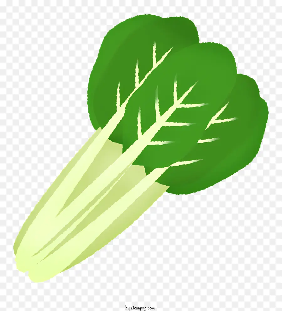 Thực phẩm Các tĩnh mạch cây hình hình tam giác trên lá trên lá cây đơn - Lá rau hình hình tam giác với sọc xanh và trắng