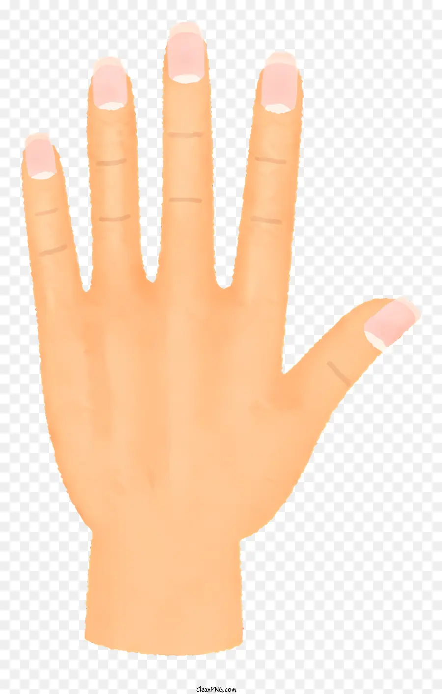Mittelfinger - Klare, transparente Hand mit weißem Nagellack