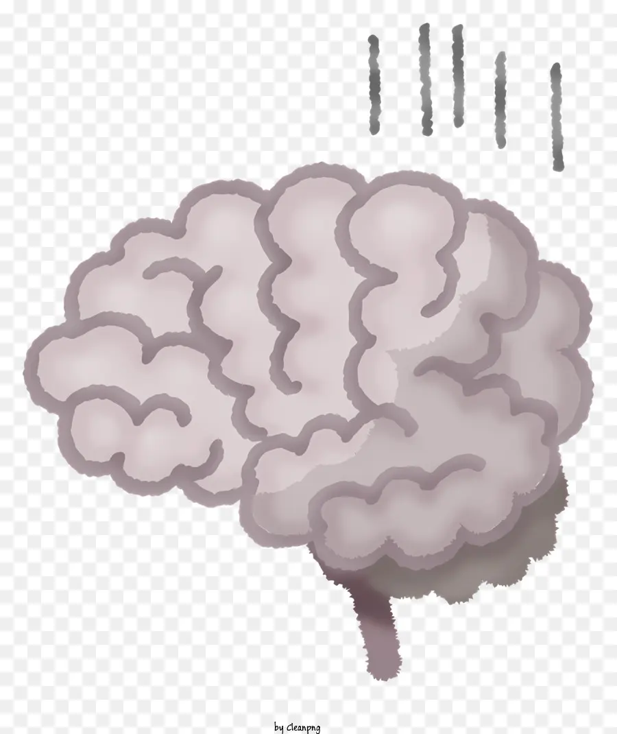 Funzioni cerebrali del cervello cerebrale cerebrum cervello cervello - Cervello grigio con cervello, cervelletto e tronco cerebrale