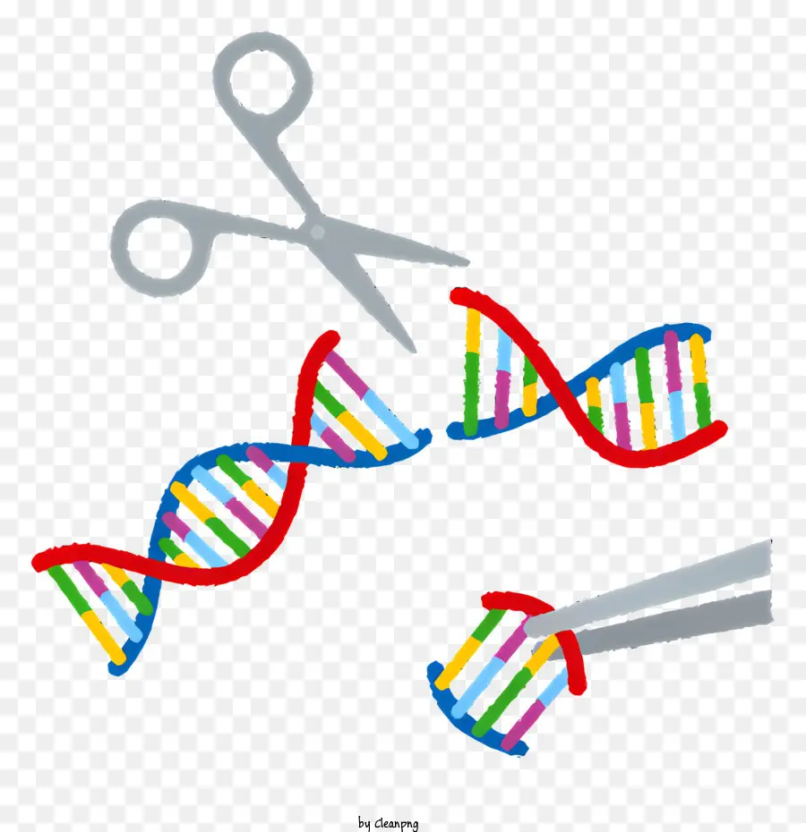 medizinische DNA -Molekül Querschnittschere, die gelb schneiden - Farbige Schere schneiden DNA -Molekül in zwei Hälften ab