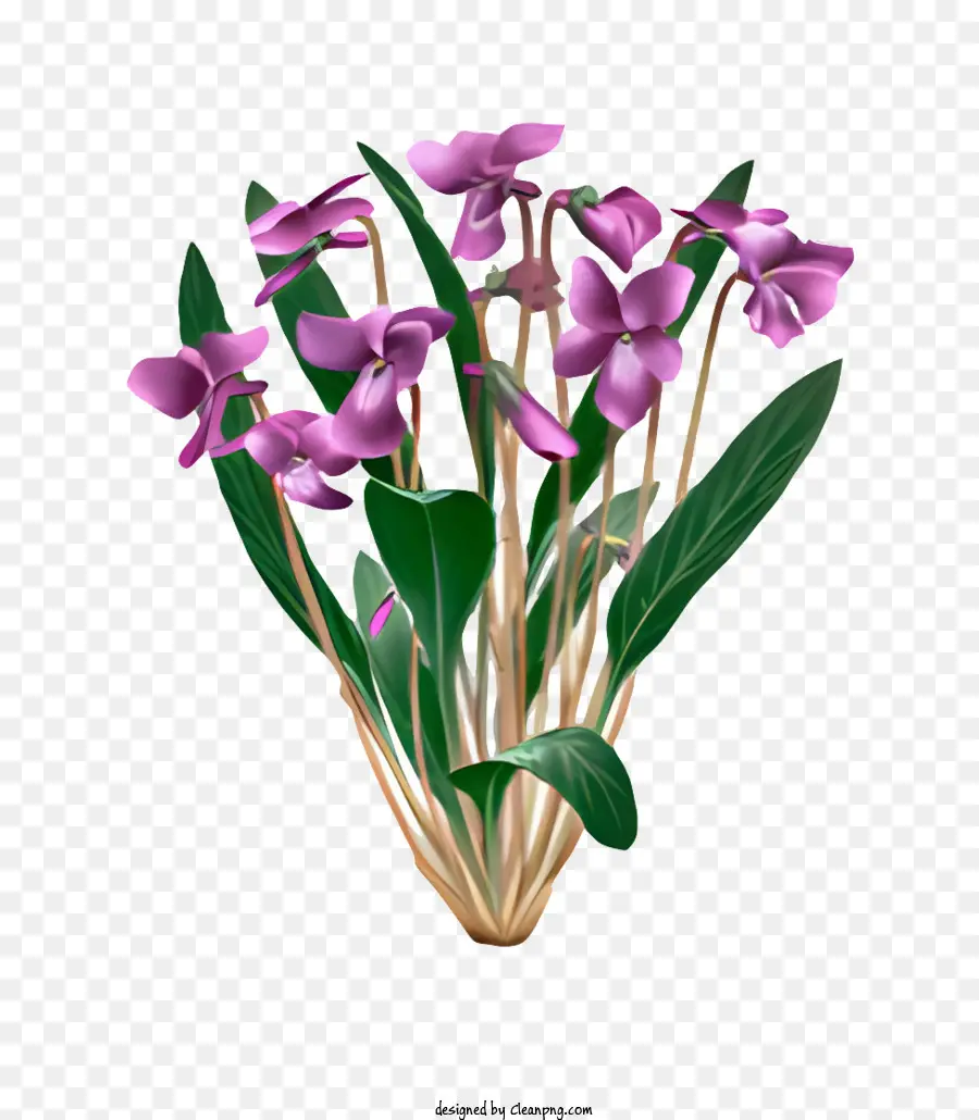 flower pink violet flowers bouquet stems and leaves symmetrical pattern