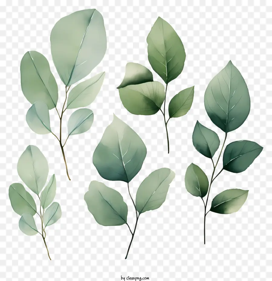 foglie di acquerello disegnate a mano foglie verdi foglie dei bordi segnalati vene al centro - Disposizione simmetrica di foglie fresche e verdi