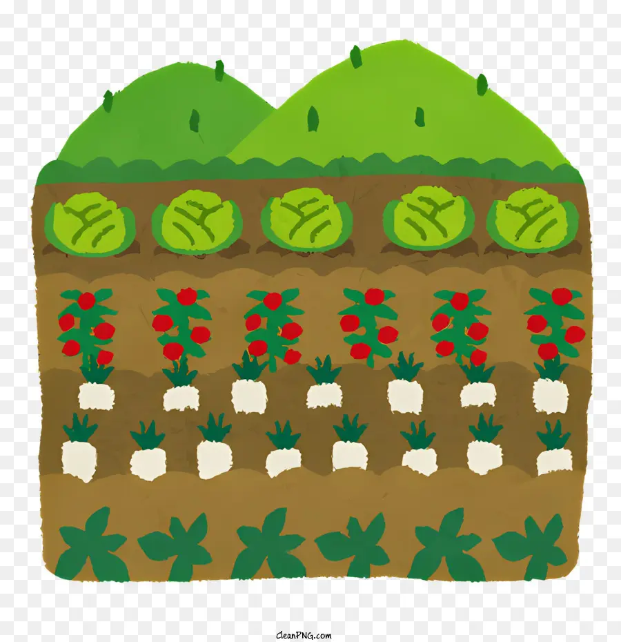 icon Farmer's Field Fiele arato di piante pomodori - Campo arato con file di piante e fattoria