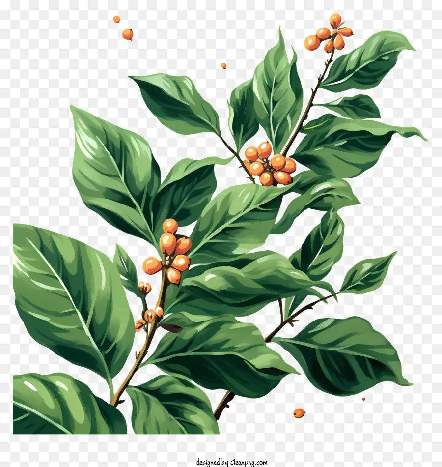 Hand gezogene Kaffeepflanze lebende Pflanze mit Beeren fröhlicher und energetischer Stimmung lebhaft und lebendiges Bild realistisches Bild einer Pflanze - Lebendiges Gemälde der grünen Pflanze mit roten Beeren