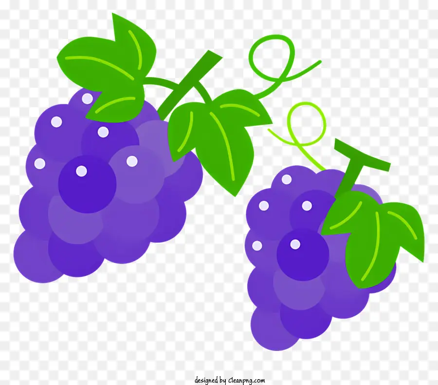 Grape cartoon