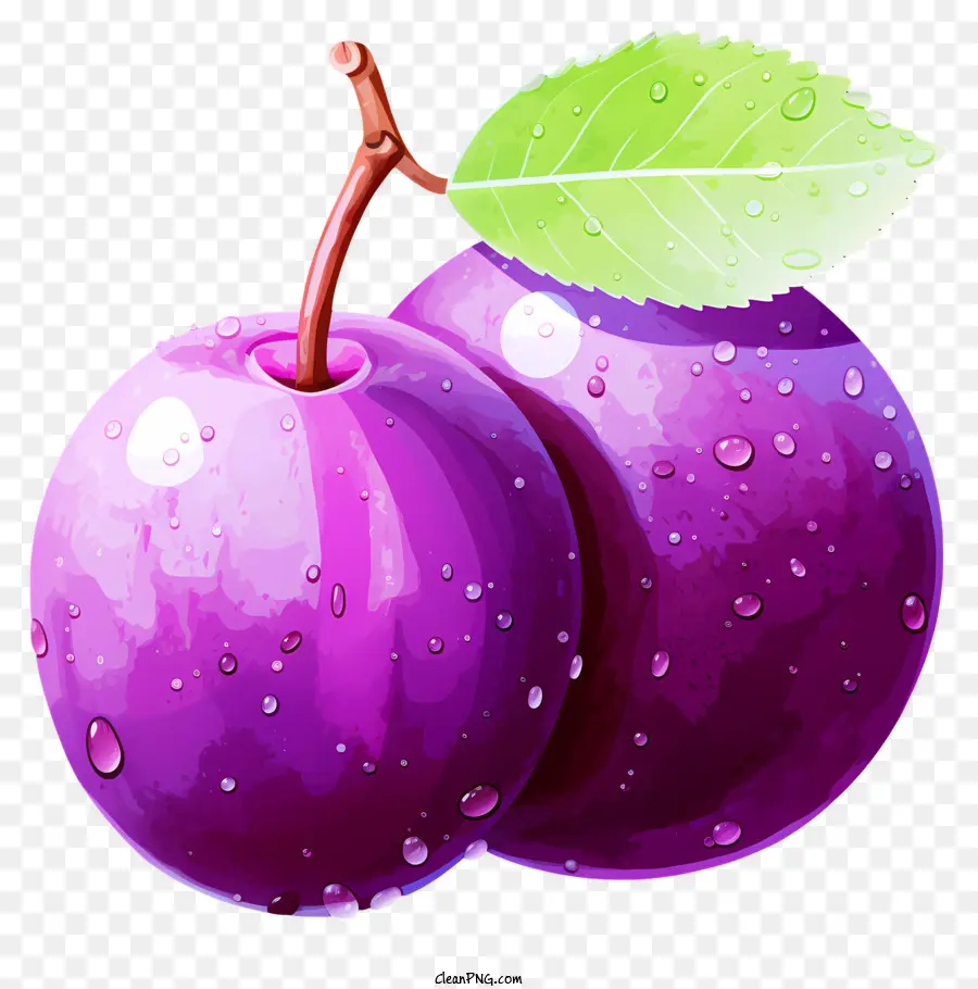 watercolor plum purple plums green leaves raindrops saturated stems
