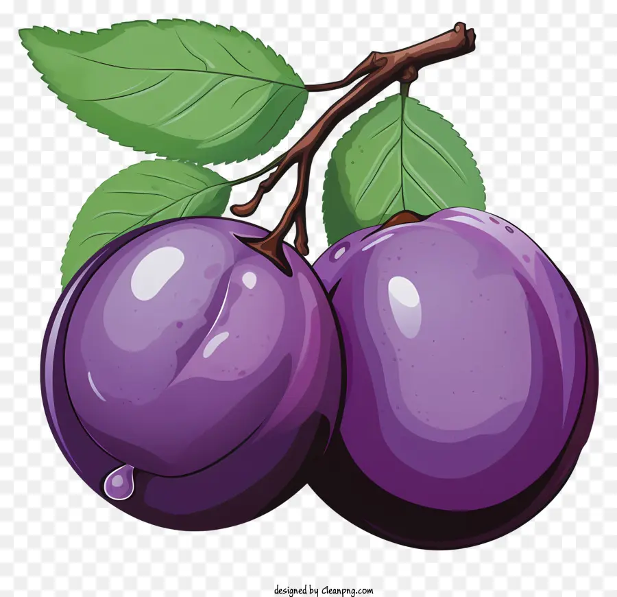 Skizzstil Pflaumen Purple Pflaumen reife Früchte geschwollene Pflaumen Pflaumenbaum - Reife Pflaumen mit Blättern, die am Zweig hängen
