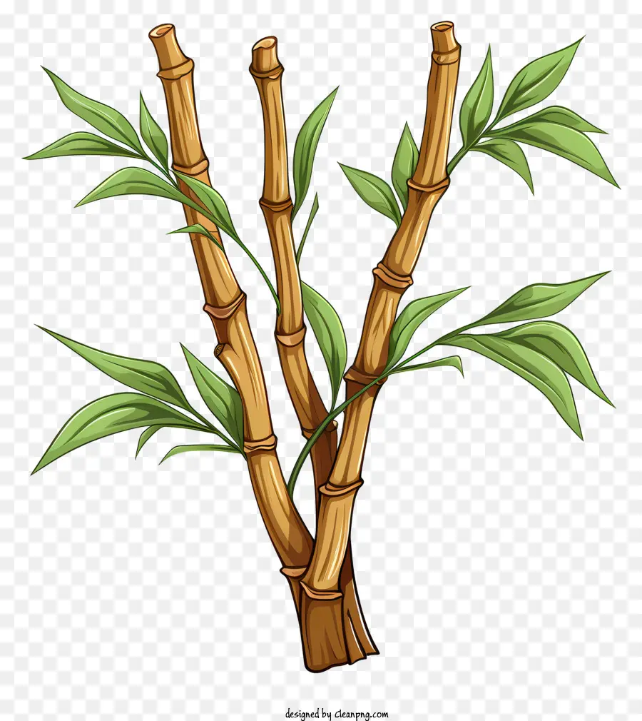 Schizzo in stile gambo di bambù ramo di bambù foglie verde foglie marroni arricciate - Ramo di bambù con foglie verdi arricciate, spesso