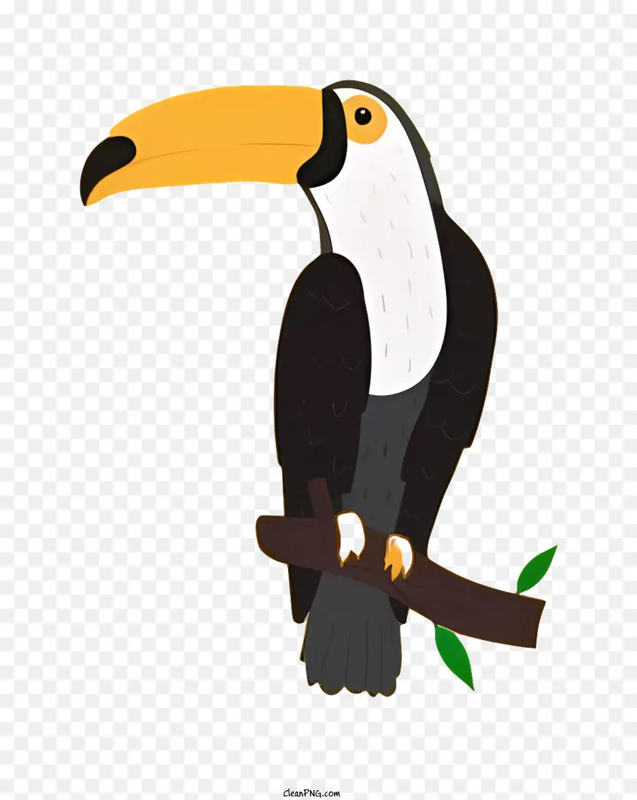 Chim Con Vẹt - Toucan đầy màu sắc với cái mỏ sắc nhọn nằm trên cành