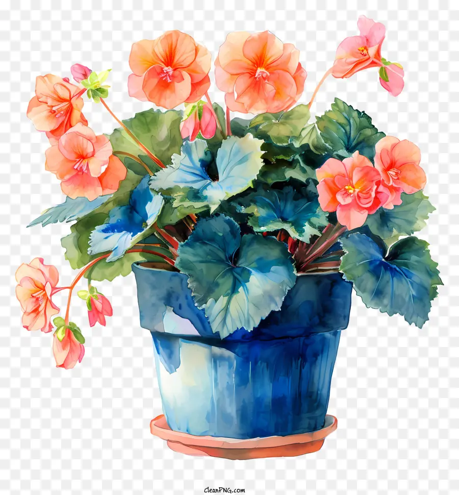 BEGONIA Bouquet Blue Vase Casual Flower Dispagy Wavy Flower Dispagy - Bouquet colorato di fiori in vaso blu