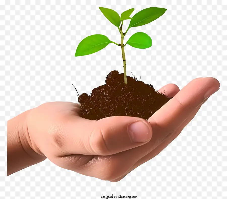 verde foglia - Piccola pianta cresce nella mano di persona
