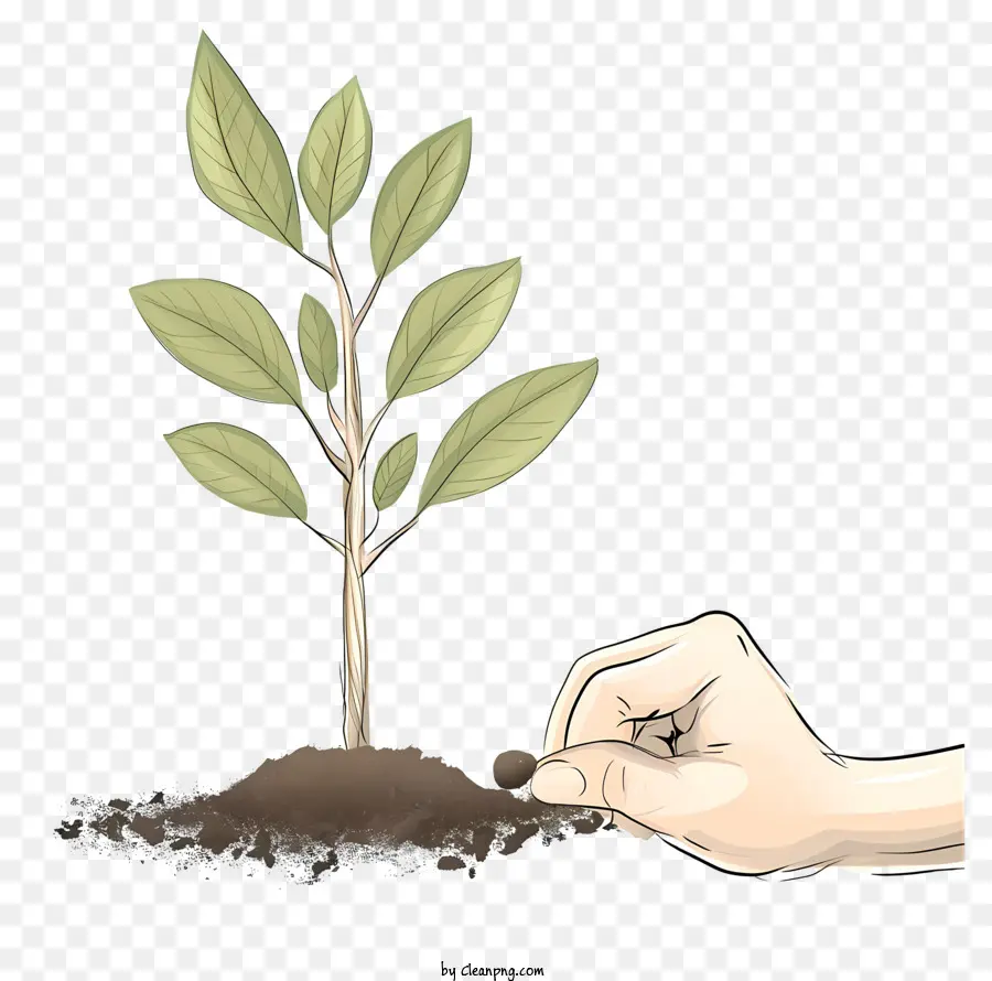 Linea di schizzo piantagione di alberi Crescita di piante piccole foglie radici visibili umore sereno - Immagine pacifica di piccole piante che crescono pacificamente