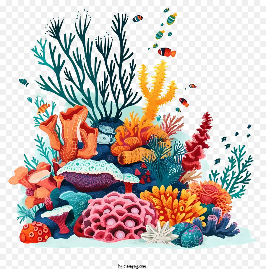 hand drawn coral reef coral reef fish aquatic creatures soft corals