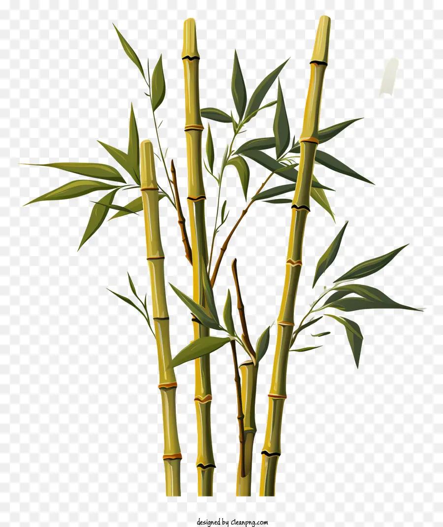 flache Bambusstamm -Bambusstiele grüne Farbe Rough Textur - Zeichnung von drei strukturierten Bambusstielen auf Schwarz