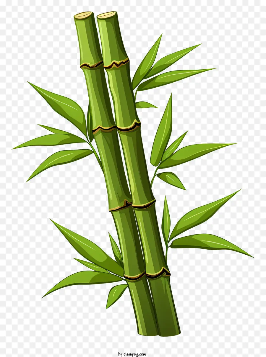 Doodle -Stil Bambusstamm Bambus Pflanze lange Stängel dünne Stängel grüne Blätter - Schwarz -Weiß -Bild der schwankenden Bambuspflanze