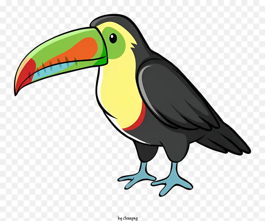 Chim Con Vẹt - Toucan đầy màu sắc đứng trên chân sau với mỏ