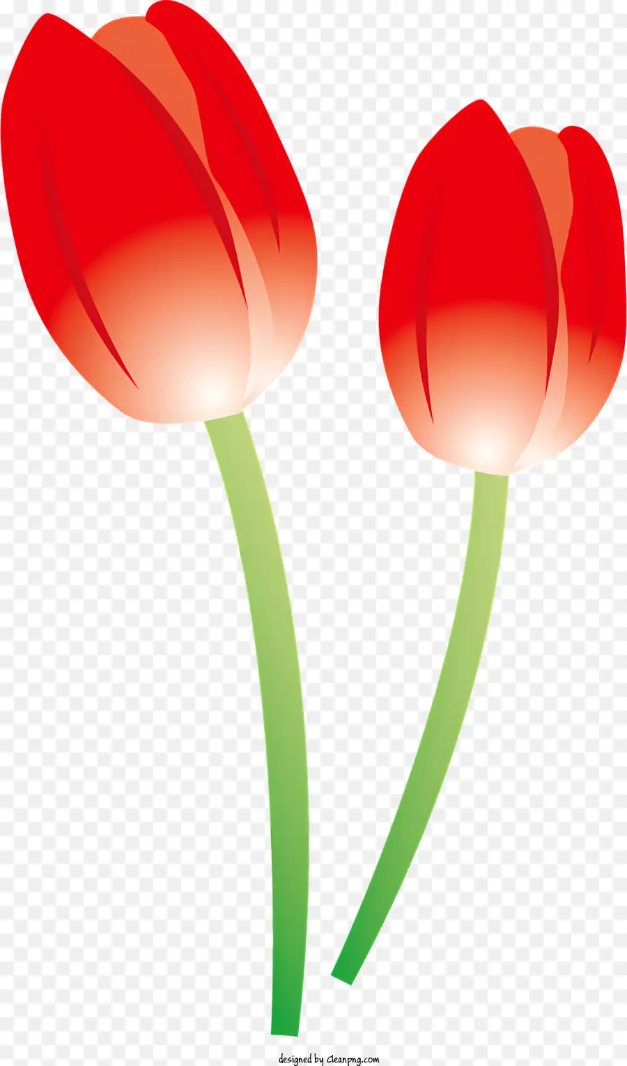 Icon Red Tulips Green Blätter Einstamm symmetrische Anordnung - Zwei rote Tulpen mit grünen Blättern