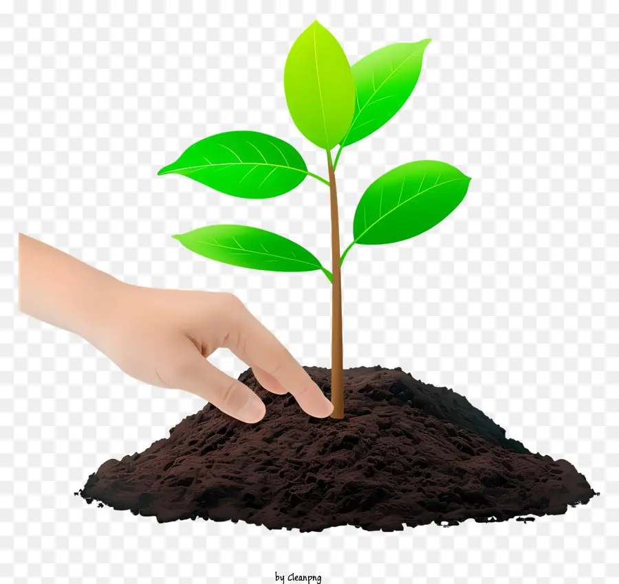 Piantatura dell'icona dell'albone Green Plant Growing sporco mano - Nutrire a mano piccola pianta verde nel terreno