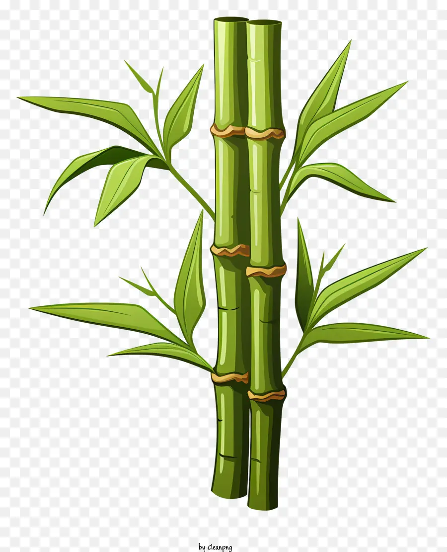 Doodle Style Bamboo STEM tre lá lá xanh lá tre tre tre - Tre bắn bằng lá xanh, không nhìn thấy cây