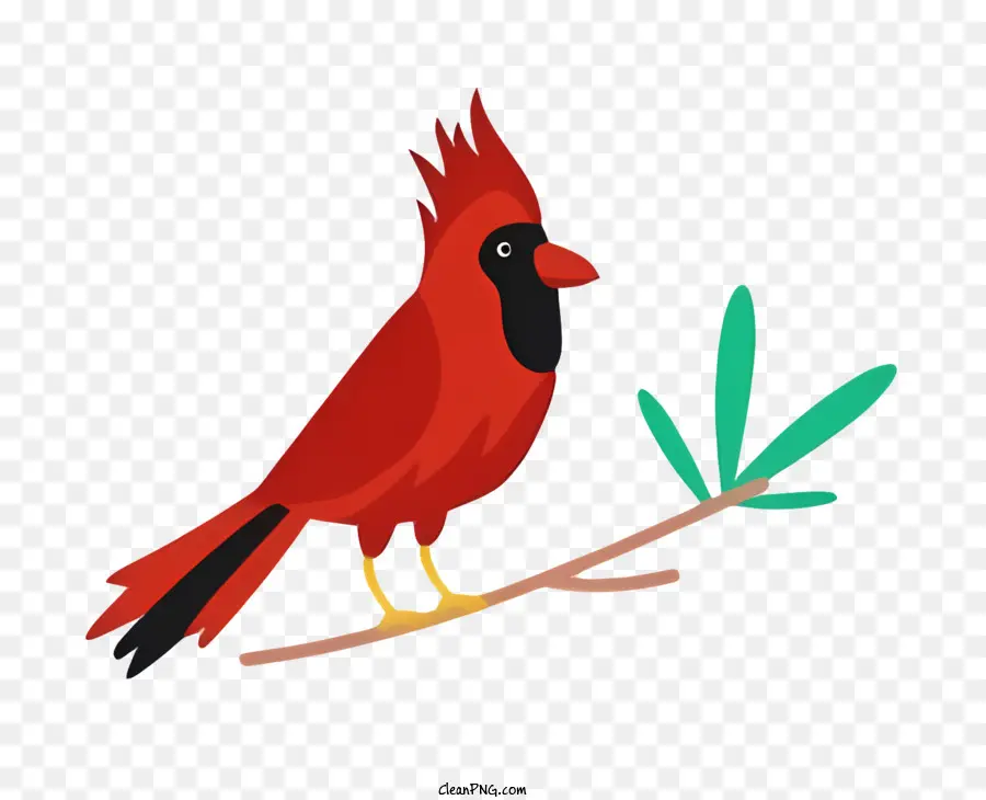 Uccello Pappagallo - Uccello cardinale rosso con ali spalmate sul ramo