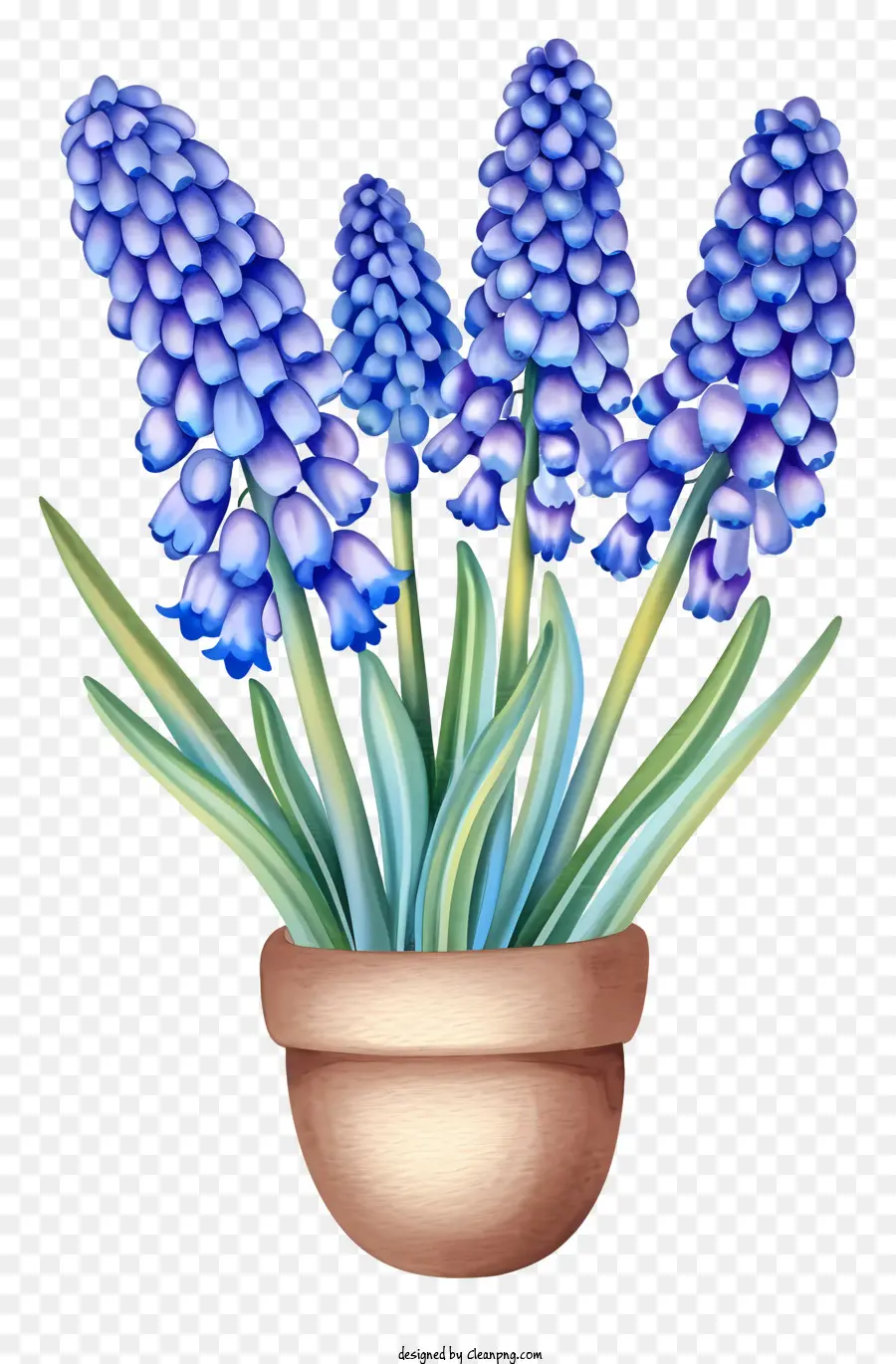 Gesteck - Realistisches Bild von blauen Hyazinthenblüten in der Vase
