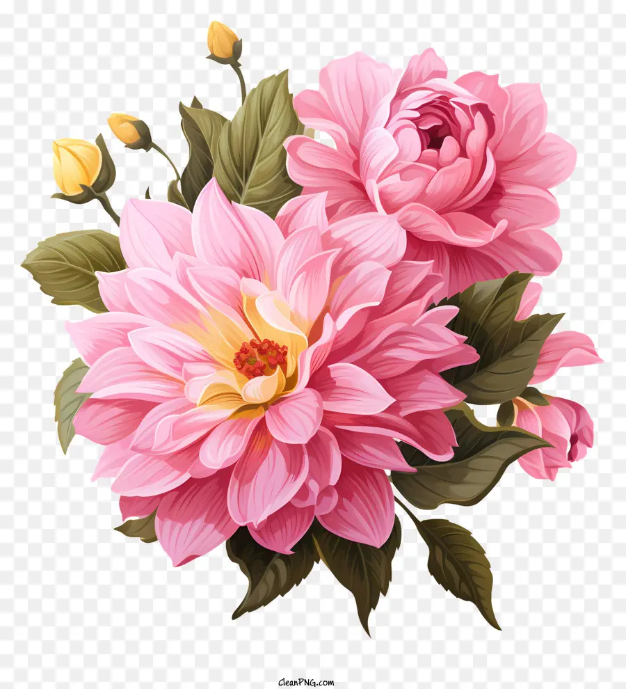 rose rosa - Immagine in bianco e nero di rose rosa e gialle