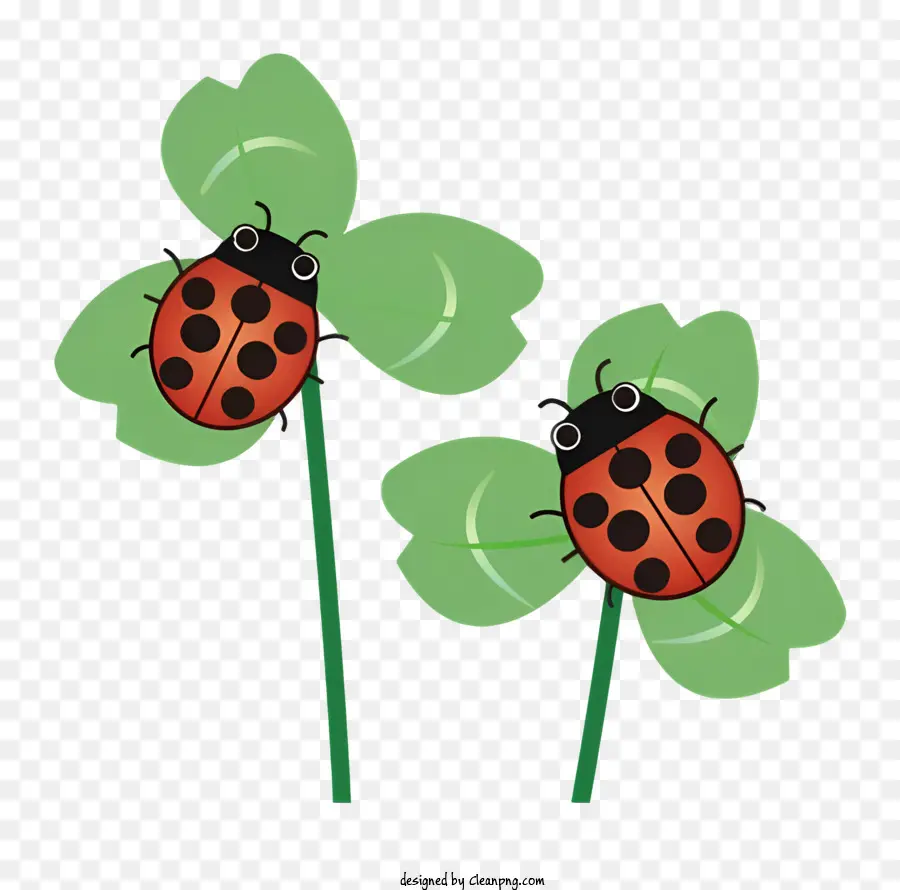 grünes Blatt - Zwei Marienkäfer auf Blatt, ein rot, ein Schwarz