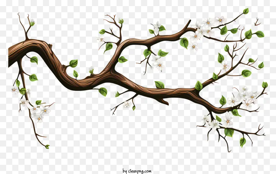 sketch style tree branch tree with white flowers white blossoms on a tree