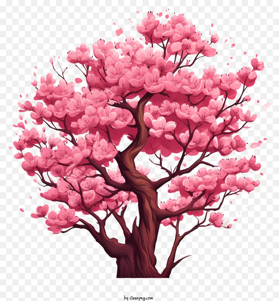 Kritzsler Stil Kirschblütenbaum rosa Kirschblütenbaumzweige Sky Rumpf - Rosa Kirschblütenbaum mit blühenden Blumen