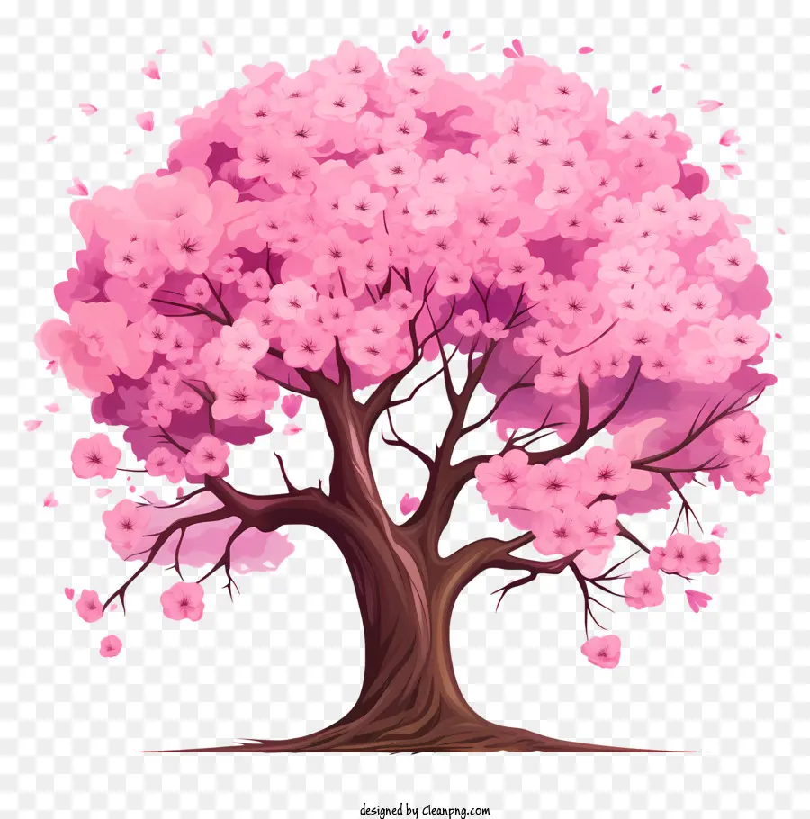kirschblütenbaum - Pink Cherry Blossom Tree auf schwarzem Hintergrund