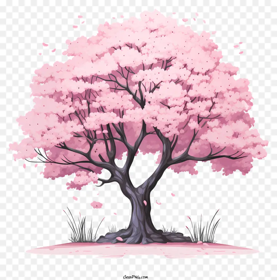 Pastellkirschblütenbaum rosa Kirschblütenblätter Blütenblätter schwanken Kirschblüten Kirschblütenpark - Rosa Kirschblütenbaum schwanken im Wind