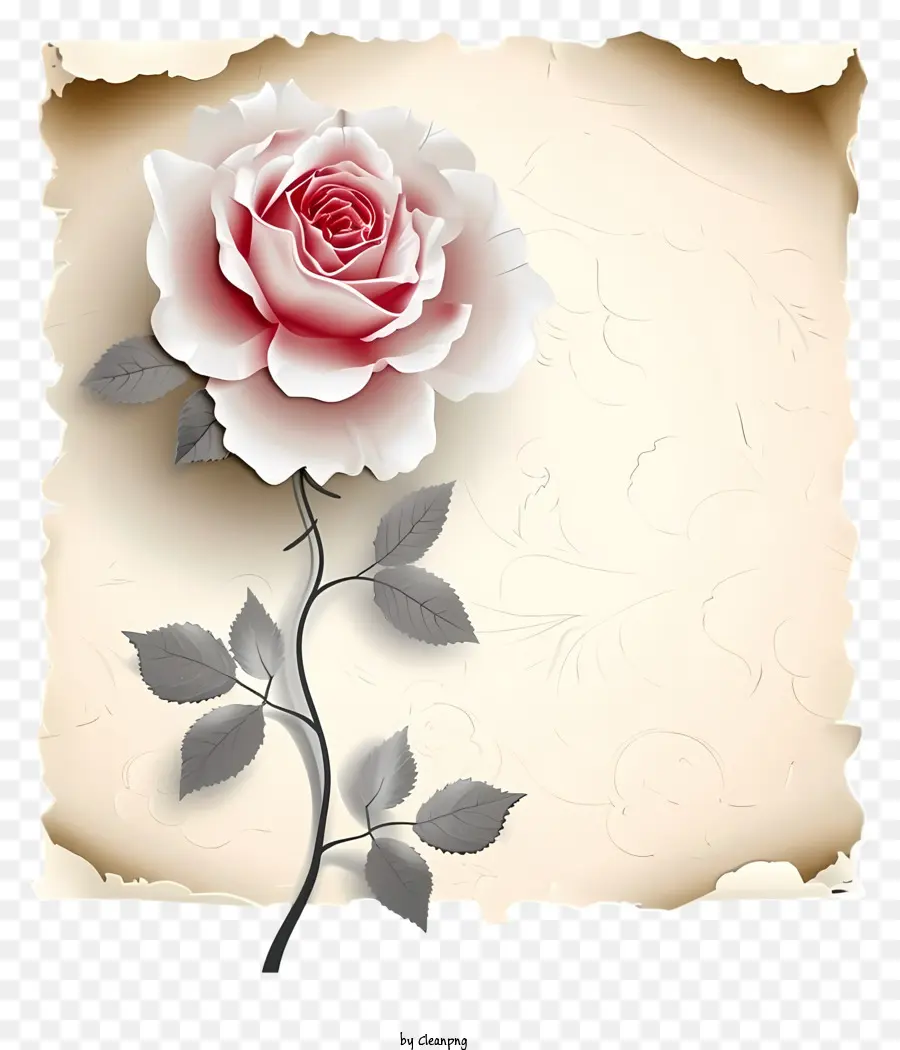 Rose - Altes Papier mit rosa Rose symbolisierte Liebe