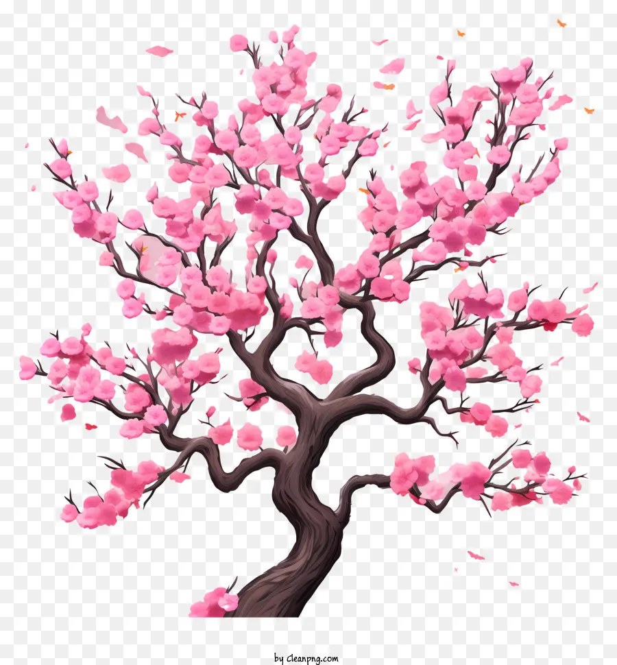 fiori di ciliegio, albero - L'albero a fiore di ciliegio ondeggiava nella brezza, in primo piano