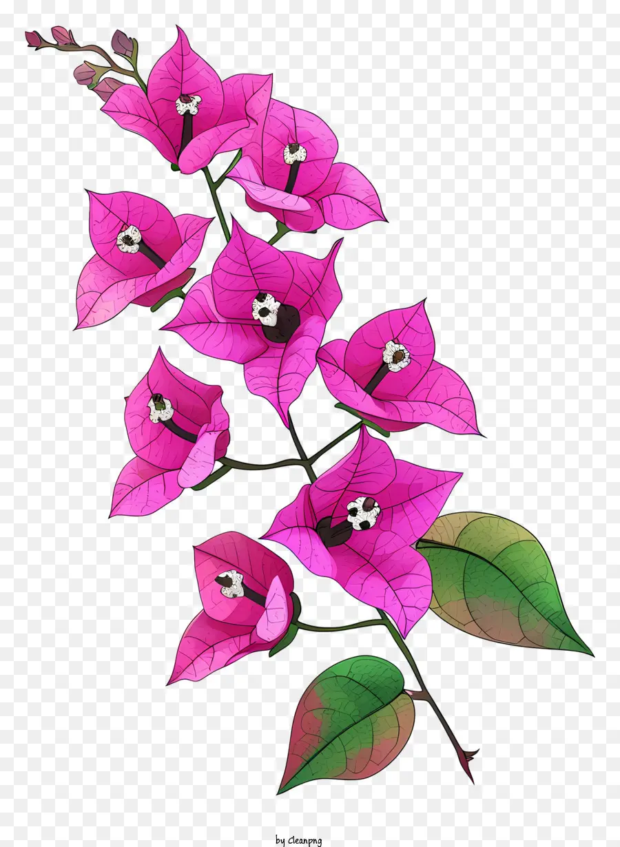 Gesteck - Foto - Gruppe von rosa Blüten mit Blättern