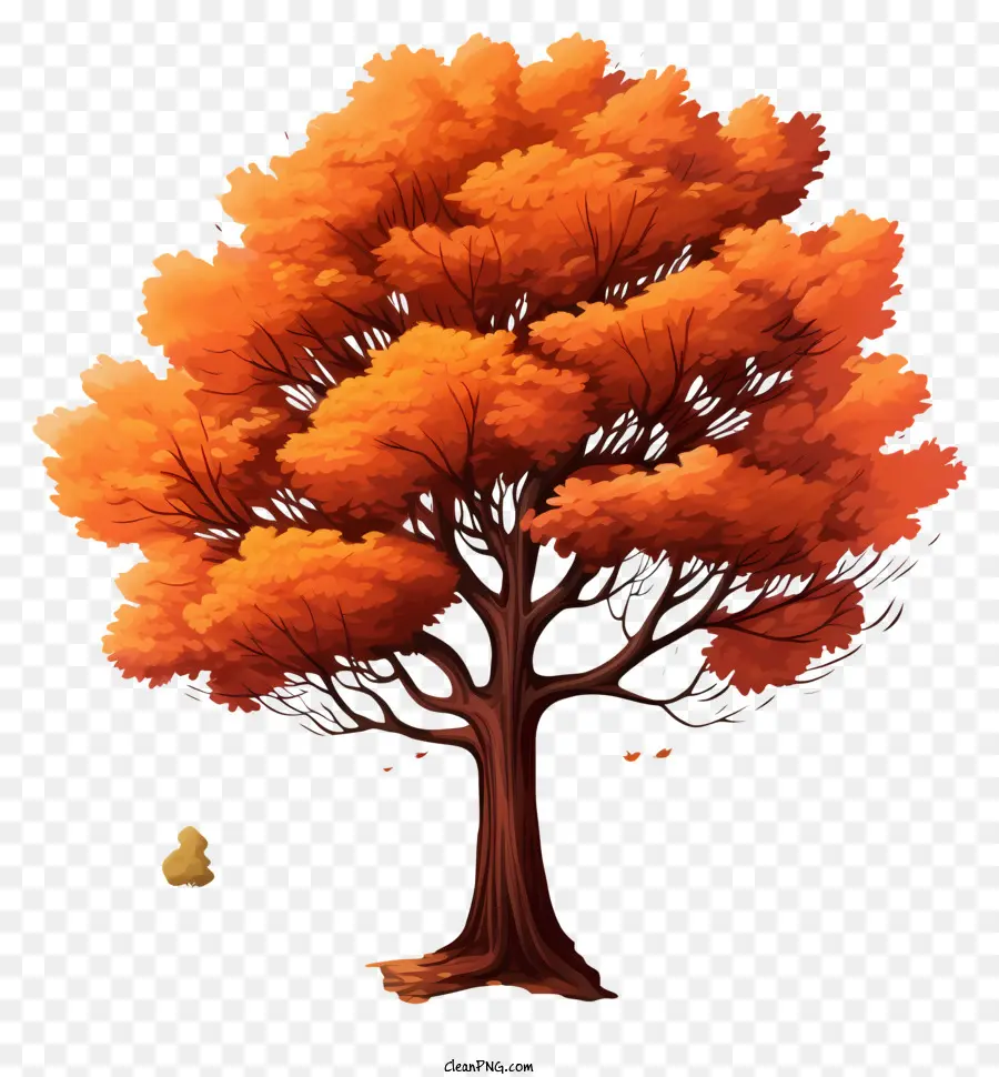Orangenbaum - Schwankend orangefarbener Baum mit blattem Baldachin auf dunklem Hintergrund